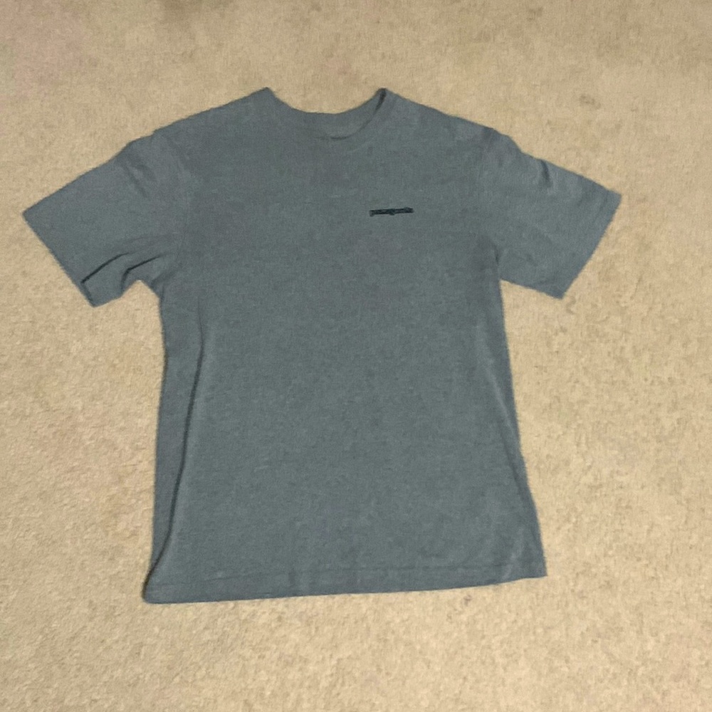 Minimalist Patagonia T shirt